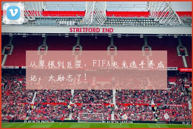 从草根到巨星，FIFA电竞选手养成记，太励志了！